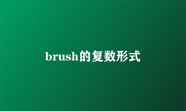 brush的复数形式