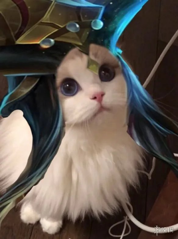 《王者荣耀》猫咪接头头像最新 猫咪头像大全