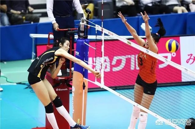 如果朱婷下赛季将回国落户天津参加排超联赛，与李莹盈双剑合璧，对此你期待吗？