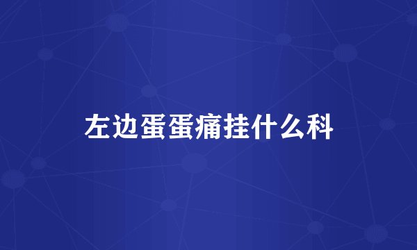 左边蛋蛋痛挂什么科