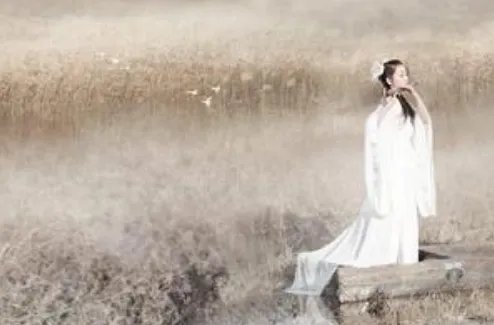 先秦无名氏的《关雎》赏析及写作手法