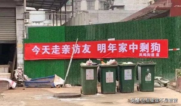 关于防疫的标语有哪些？