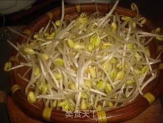 凉拌黄豆芽