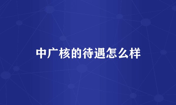 中广核的待遇怎么样