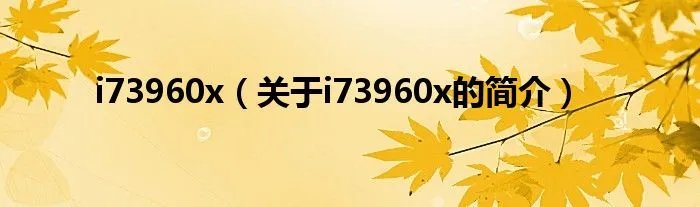 i73960x（关于i73960x的简介）