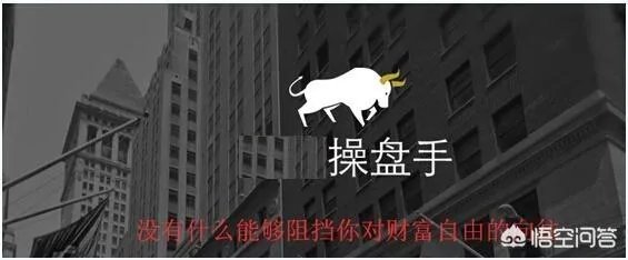 职业操盘手是什么意思？