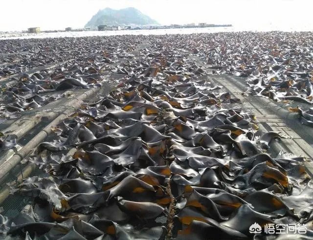 怎么做农产品推广?