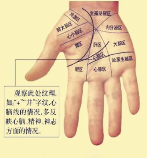 从手相看婚姻准吗 如何从手相看婚姻