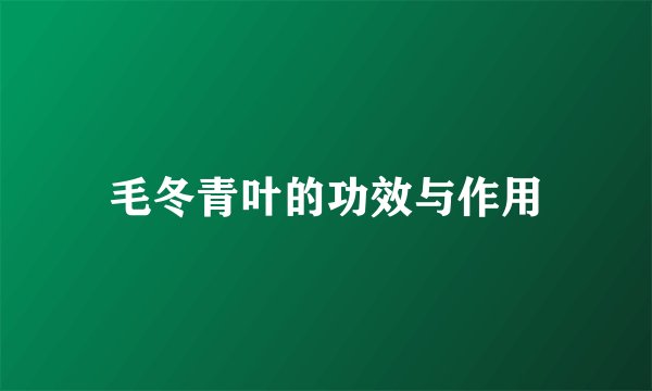毛冬青叶的功效与作用