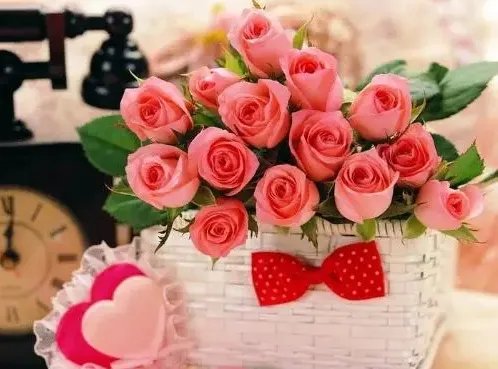 24朵玫瑰花代表什么意思