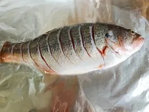 北京有哪些好吃的烤鱼？