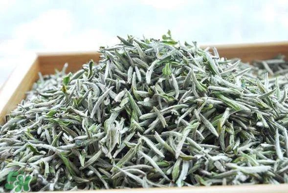 白毫银针的产地在哪个省？白毫银针是哪里产的？