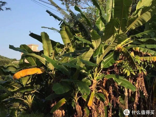 修飞机人周末好去处：高百丈风景区羊石水库