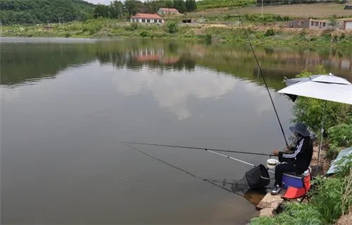 2万元以内出租的水库有哪些？