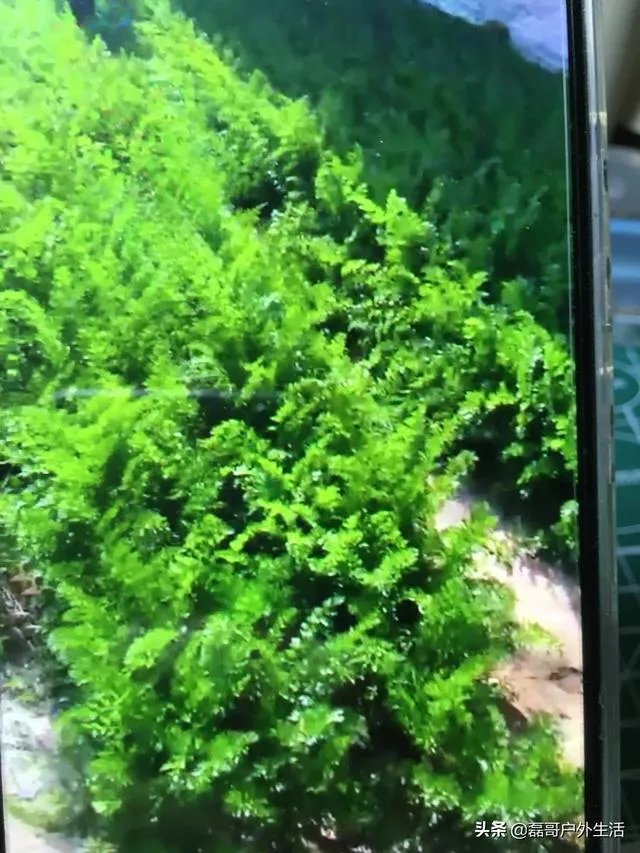 你对央视《致富经》栏目怎么看？