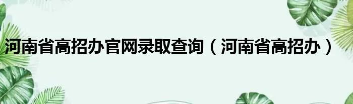 河南省高招办官网录取查询（河南省高招办）