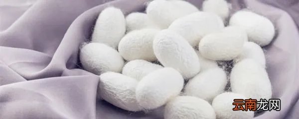 mulberry silk是什么面料 mulberry silk是什么面料做的