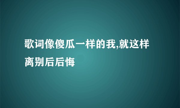歌词像傻瓜一样的我,就这样离别后后悔