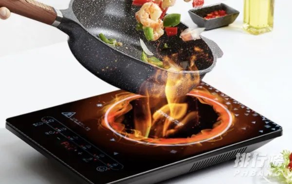 电磁炉哪个牌子好_电磁炉品牌十大排行榜