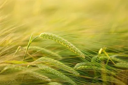 2022年农历十月廿六日是不是黄道吉日？