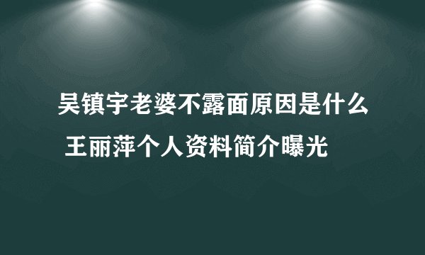 吴镇宇老婆不露面原因是什么 王丽萍个人资料简介曝光