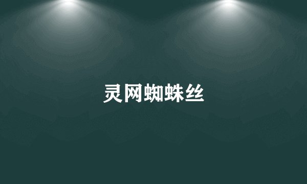 灵网蜘蛛丝