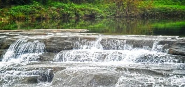 甘肃陇南康县目前有多少个美丽乡村？