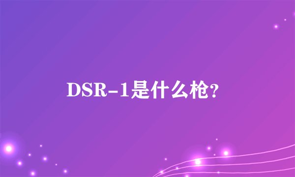 DSR-1是什么枪？