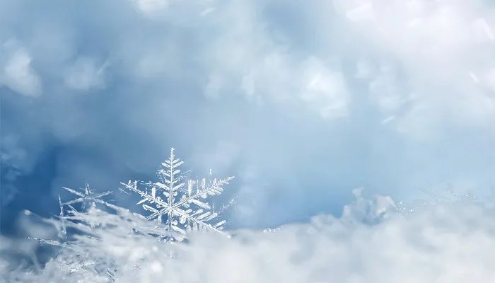 冬天玻璃上形成的冰窗花在哪一侧 冬天玻璃上形成的冰窗花一般在窗户的哪一边