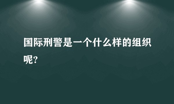 国际刑警是一个什么样的组织呢?