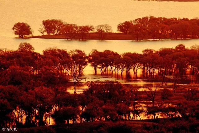 吉林省通榆县有新村规划吗？