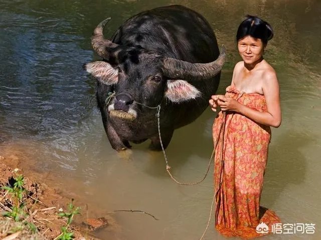 缅甸难民多吗？他们的生活怎么样？