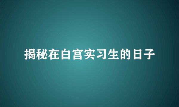 揭秘在白宫实习生的日子