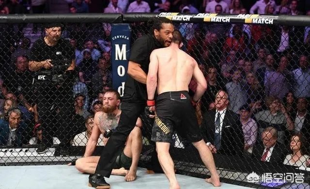 嘴炮和小鹰比赛结果如何？