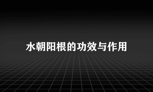 水朝阳根的功效与作用