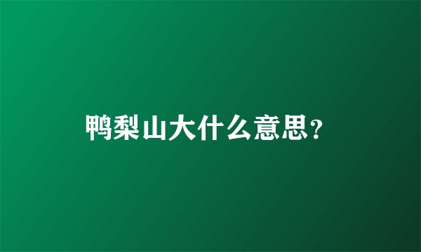 鸭梨山大什么意思?