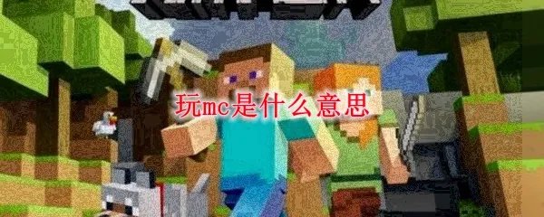 玩mc是什么意思