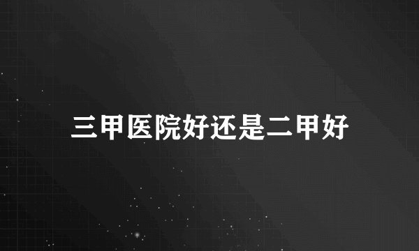 三甲医院好还是二甲好