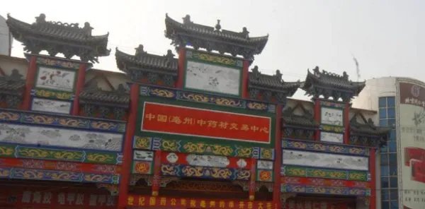 亳州药交会农历九月九日还是公历九月九日