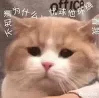有没有搞笑的猫咪图片，分享一下？