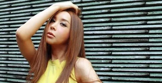 河莉秀老公是谁,河莉秀变样了