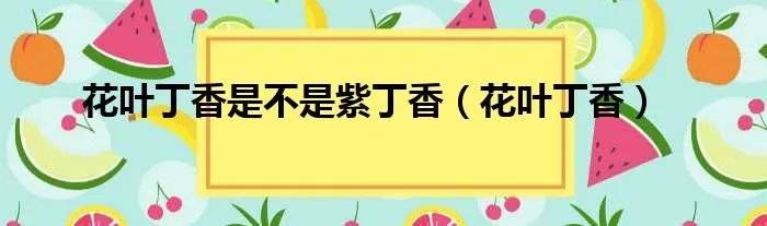 花叶丁香是不是紫丁香（花叶丁香）