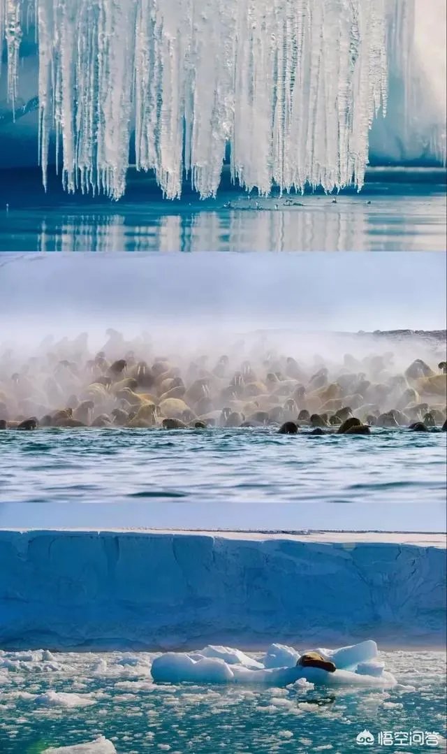 纪录片《蓝色星球》讲了什么?好看吗?