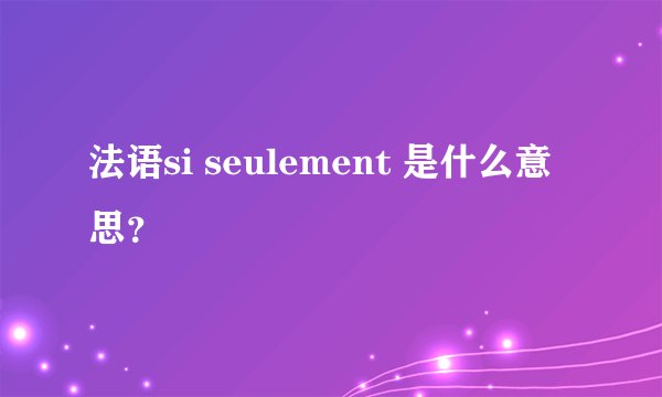 法语si seulement 是什么意思？