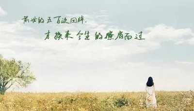 五百次回眸完整句子