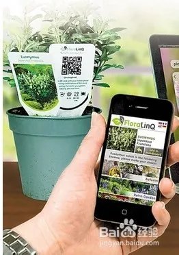 手机如何扫描二维码/怎么扫描 最新