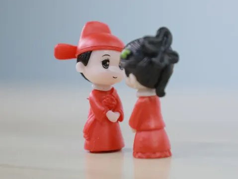 网上结婚是如何的意思