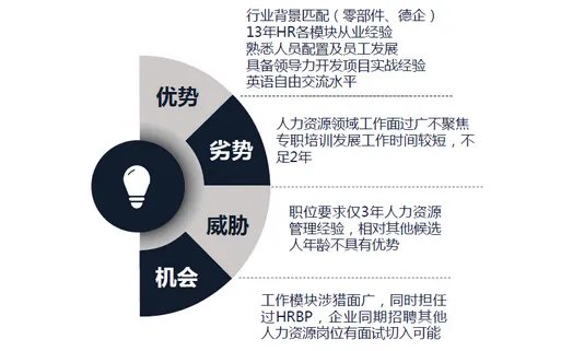 找个人SWOT分析案例