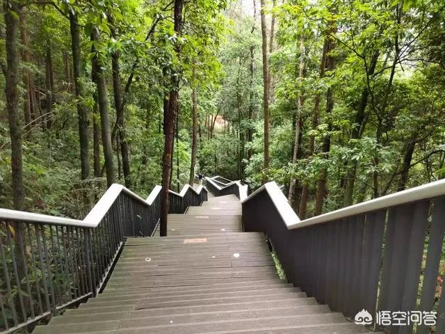 维维软件园攻略