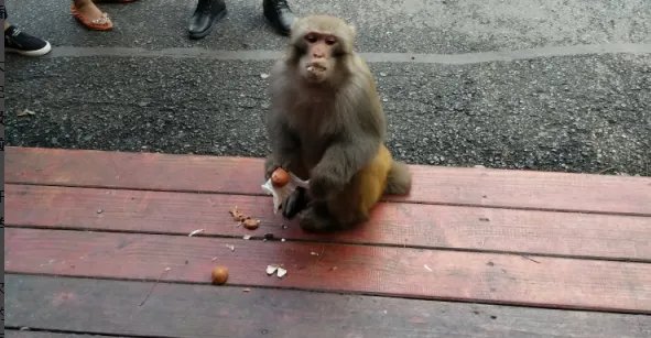 鼓浪屿申遗成功，52个中国世遗景色，你去过哪个？